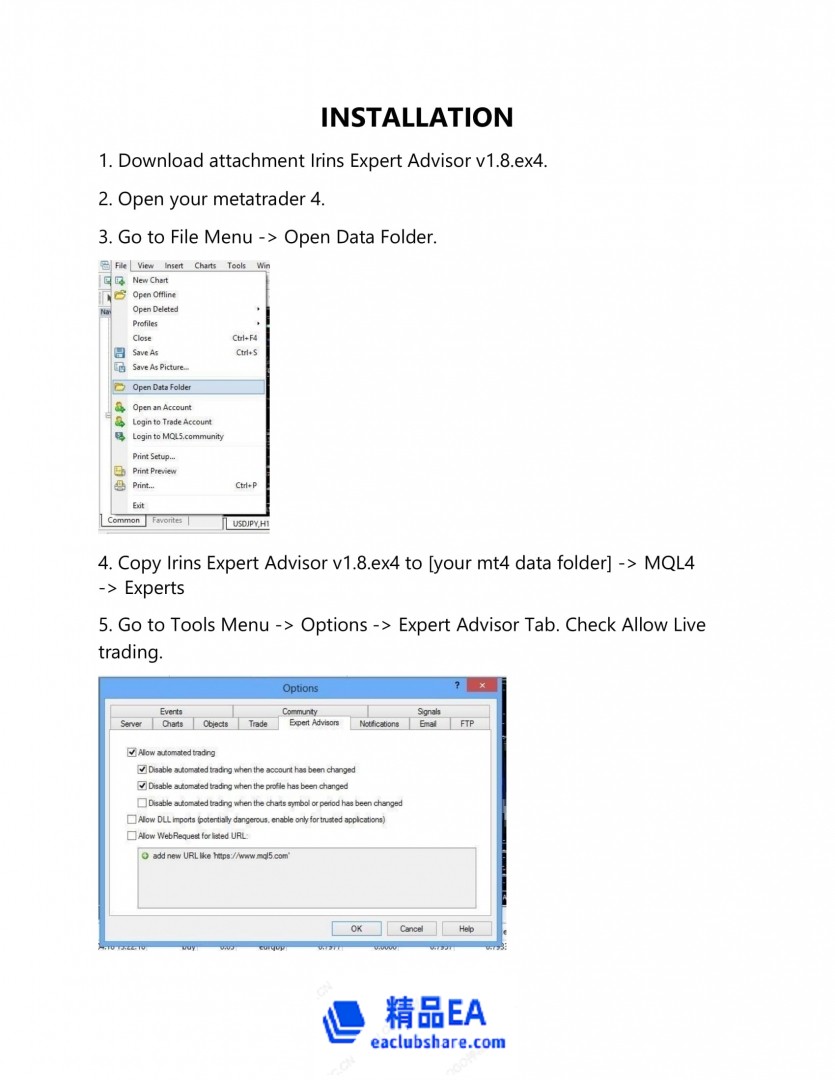 Irins Expert Advisor v1.8 Manual File-3 - 副本.jpg